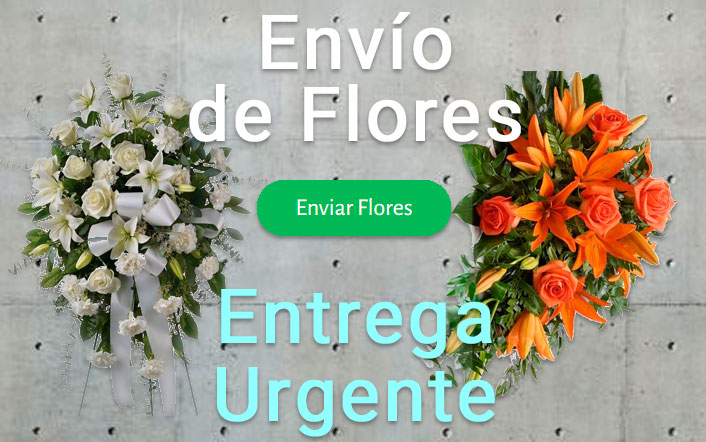 Envío de flores urgente a Tanatorio Cádiz